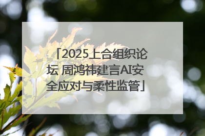 2025上合组织论坛 周鸿祎建言AI安全应对与柔性监管