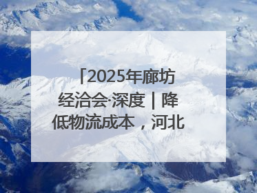 2025年廊坊经洽会·深度｜降低物流成本，河北物流集团找到一把“金钥匙”