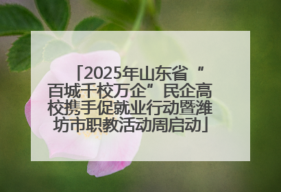 2025年山东省“百城千校万企”民企高校携手促就业行动暨潍坊市职教活动周启动