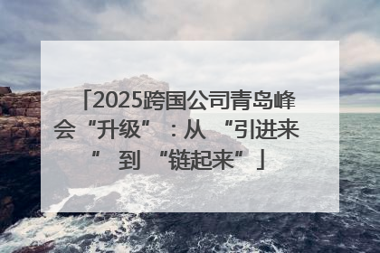 2025跨国公司青岛峰会“升级”：从 “引进来” 到 “链起来”