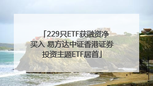 229只ETF获融资净买入 易方达中证香港证券投资主题ETF居首