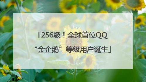256级！全球首位QQ“金企鹅”等级用户诞生