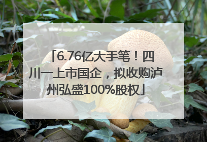 6.76亿大手笔！四川一上市国企，拟收购泸州弘盛100%股权
