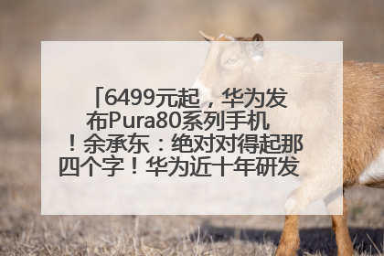 6499元起，华为发布Pura80系列手机！余承东：绝对对得起那四个字！华为近十年研发投入12490亿元