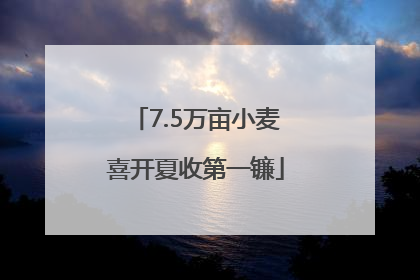 7.5万亩小麦喜开夏收第一镰