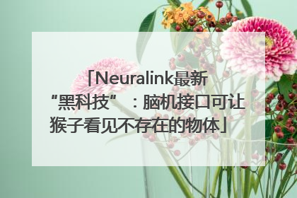 Neuralink最新“黑科技”：脑机接口可让猴子看见不存在的物体