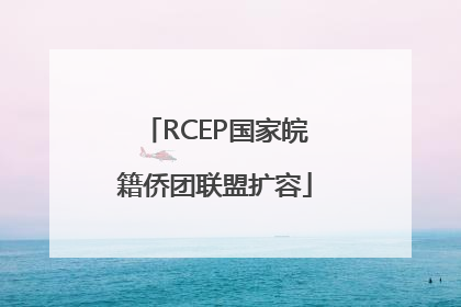RCEP国家皖籍侨团联盟扩容